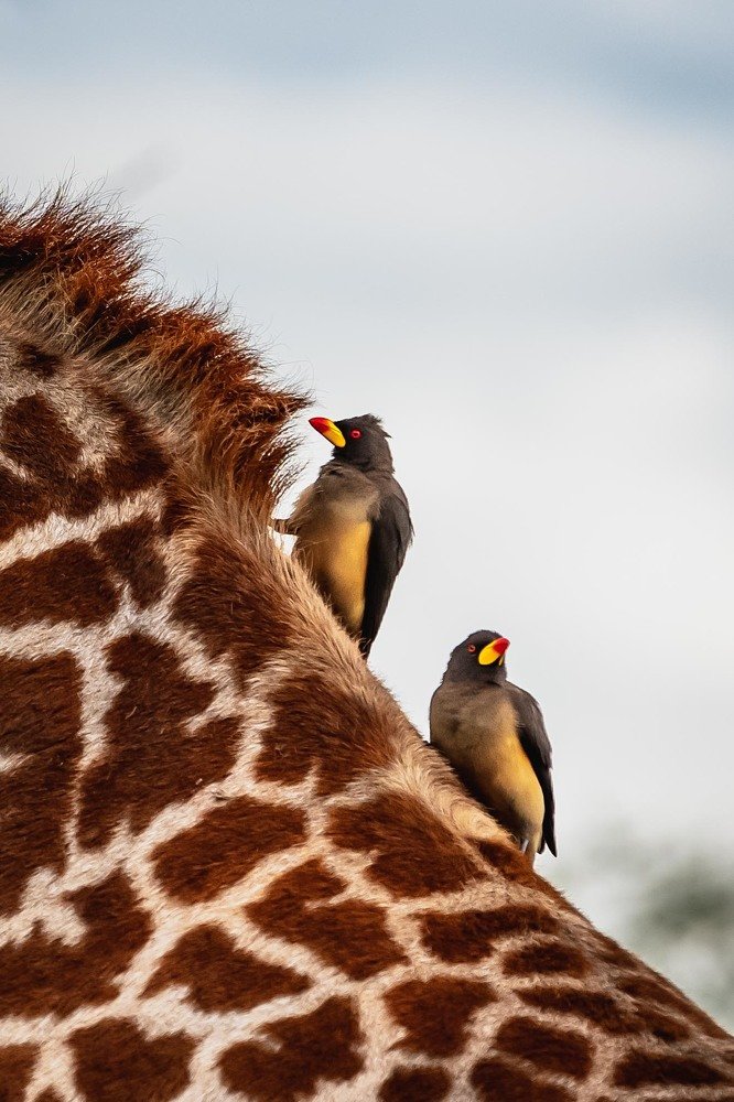 Photograph by Дмитрий Николаев