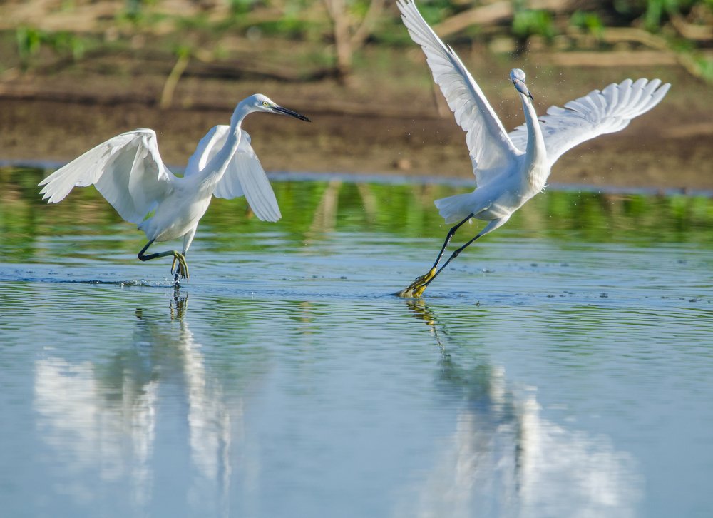 Photograph by James David Raj