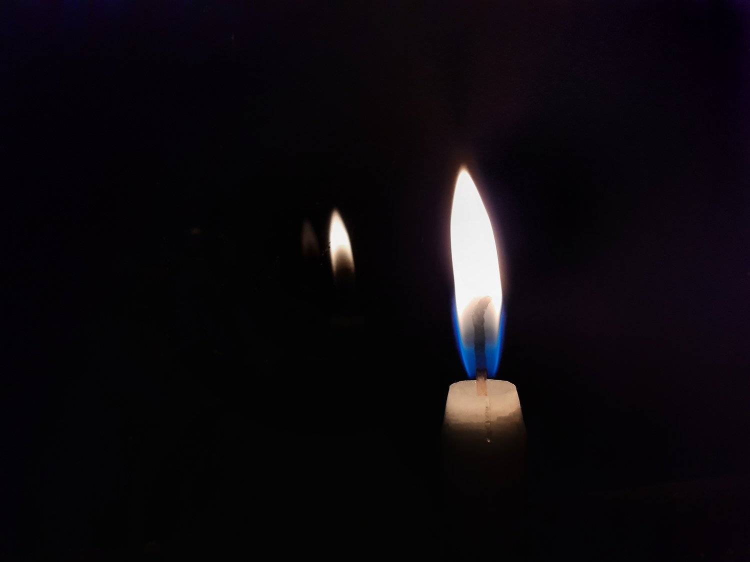 Photo #4861043