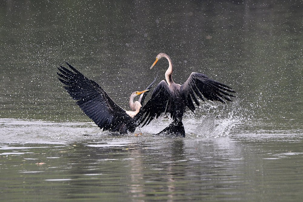 Photograph by SACHIN MATKAR