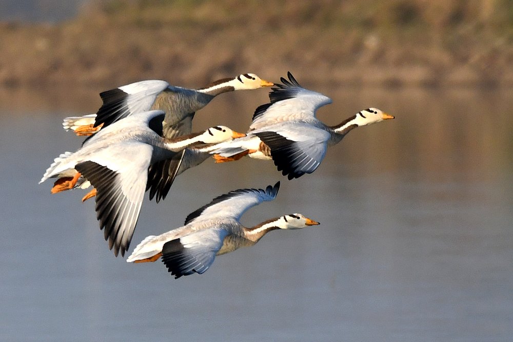 Photograph by SACHIN MATKAR