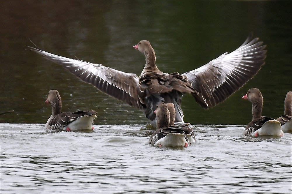 Photograph by SACHIN MATKAR