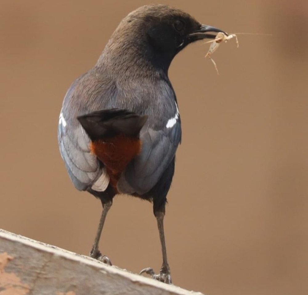 Photograph by Ananat pund