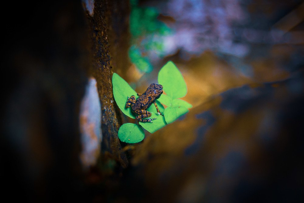 Фотография автора Jose Melendez