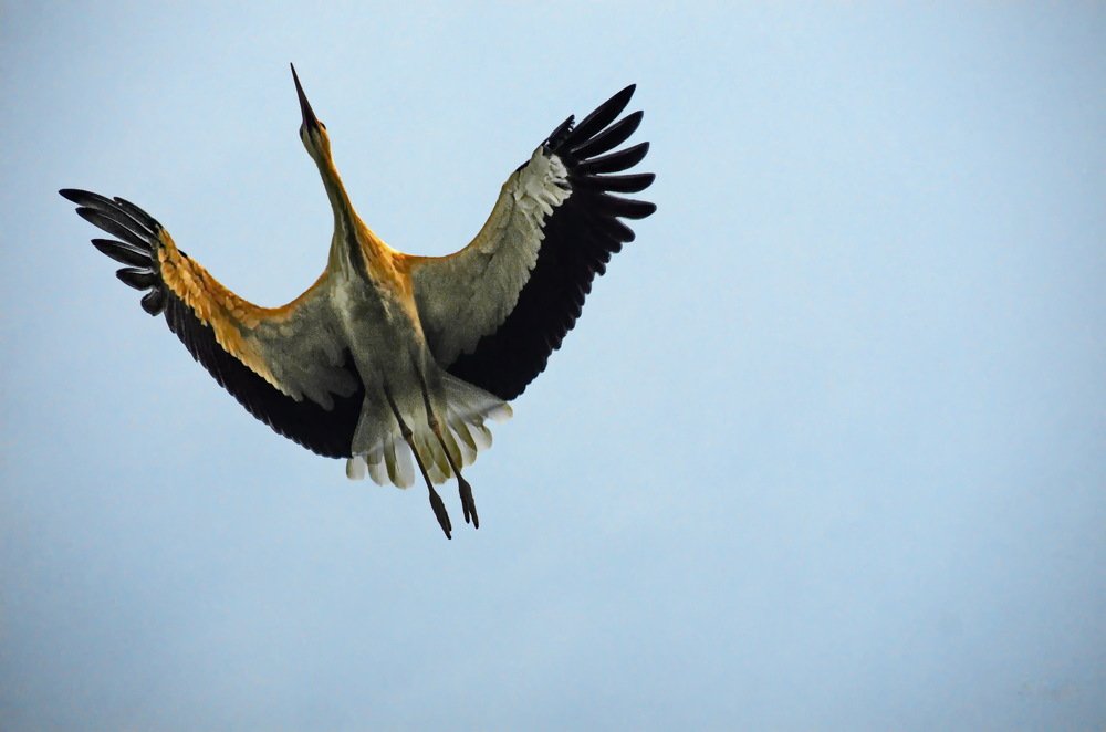 Photograph by Анатолий Святой