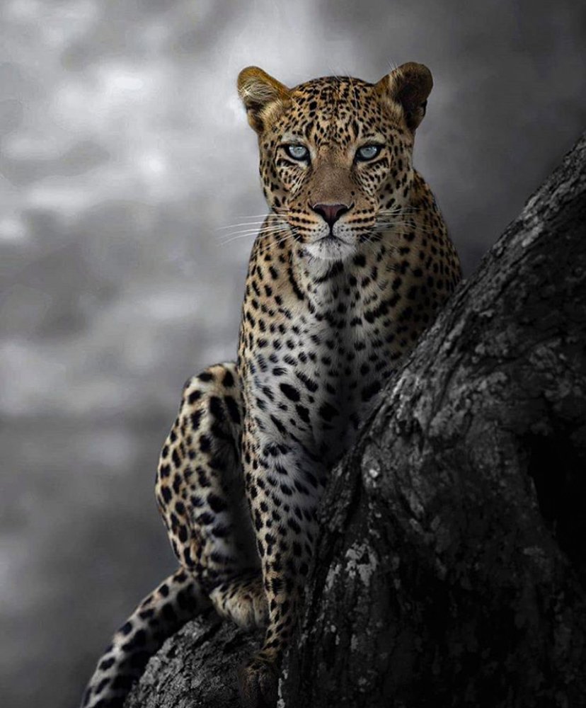 Photograph by Felix odhiambo