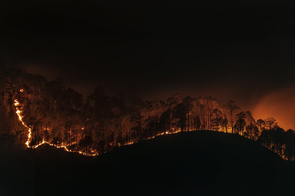 Photograph by Mukul Mukherjee