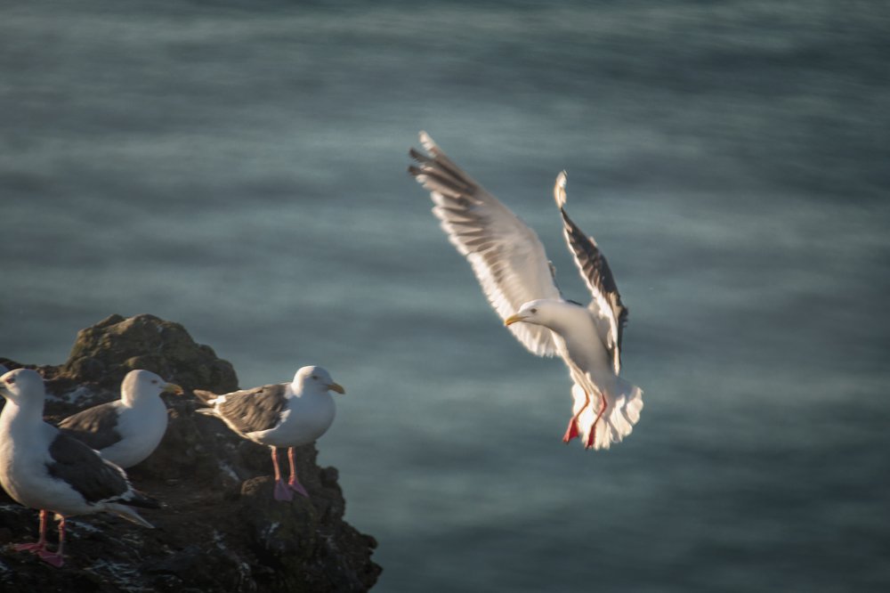 На посадочной глиссаде