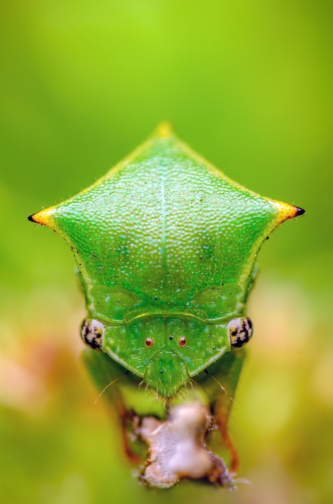 Фотография автора Сергей Чебанов