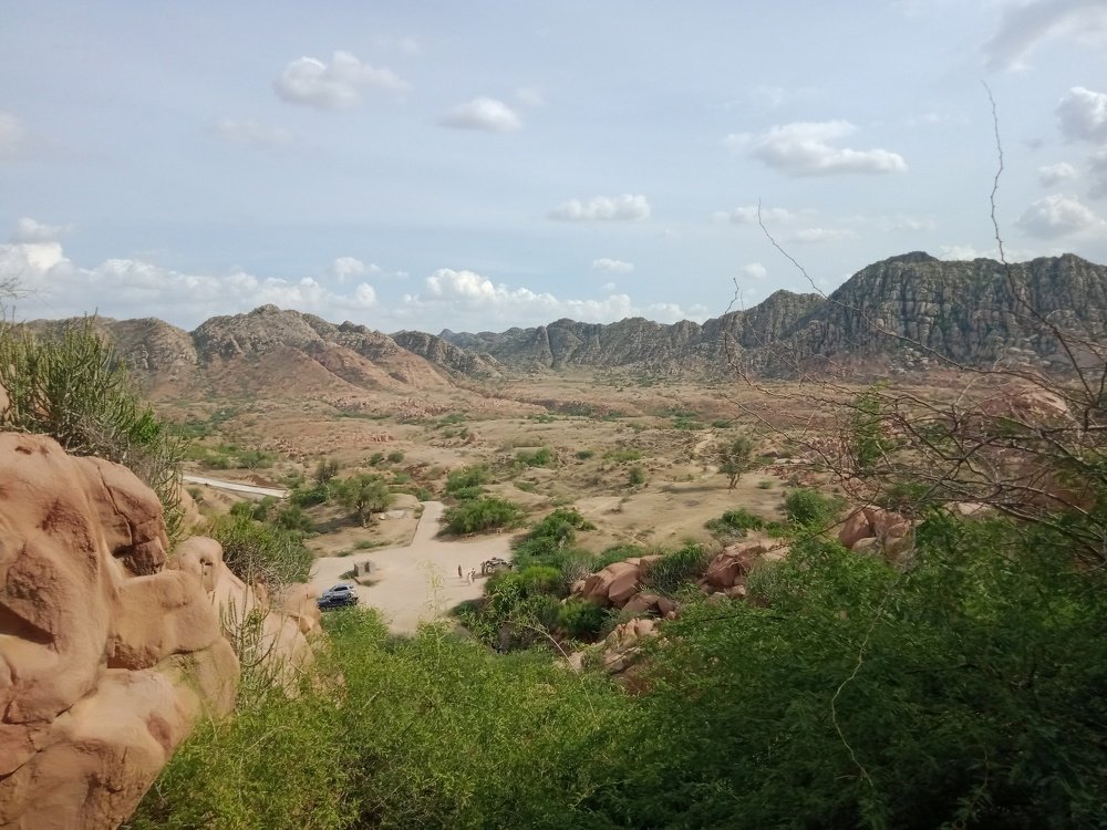Photo #4861529