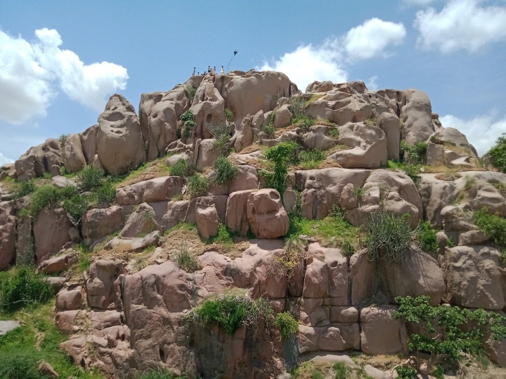 Photo #4861553