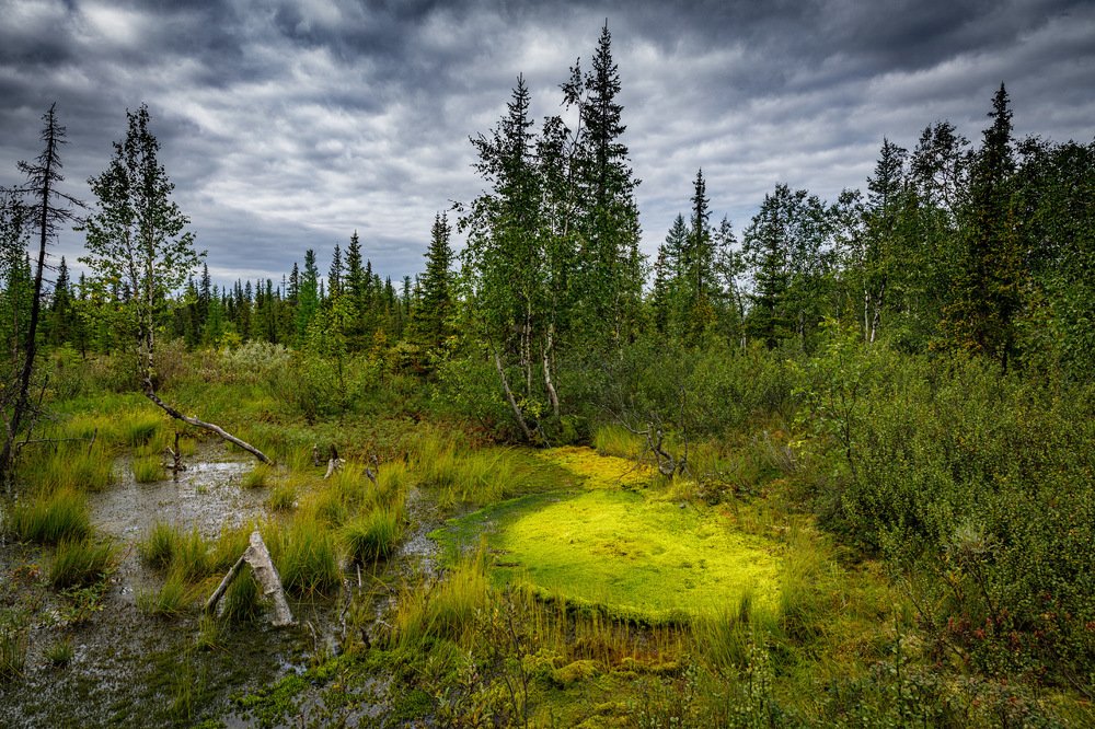 Photograph by Евгений Кужилев