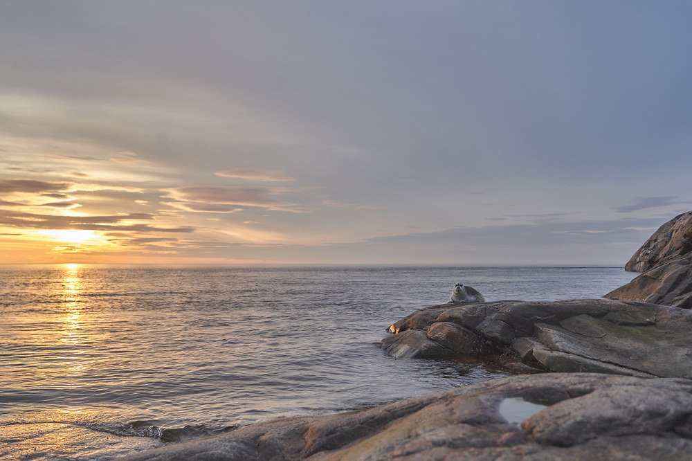 Photograph by Анатолий