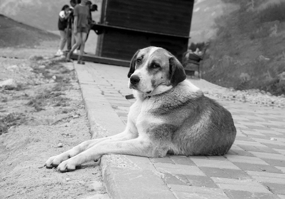 Photograph by Сергей Байтеряков