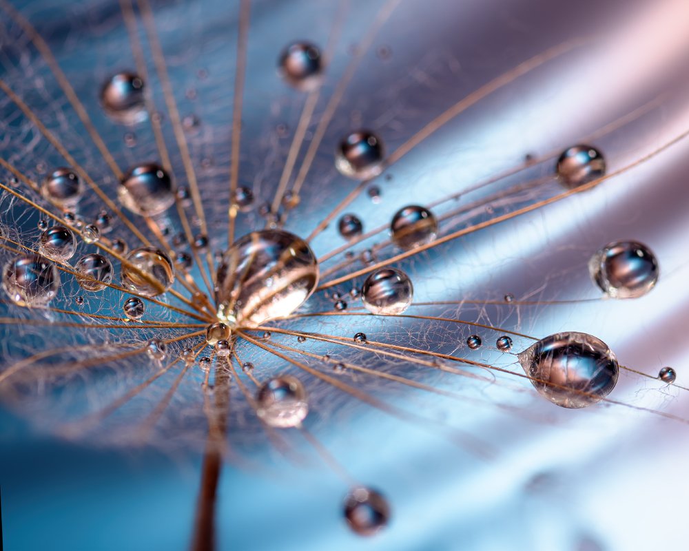 Фотография автора Владимир Зубков