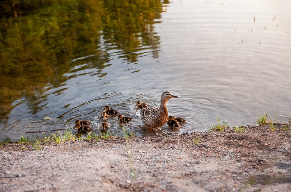 Photograph by Анастасия