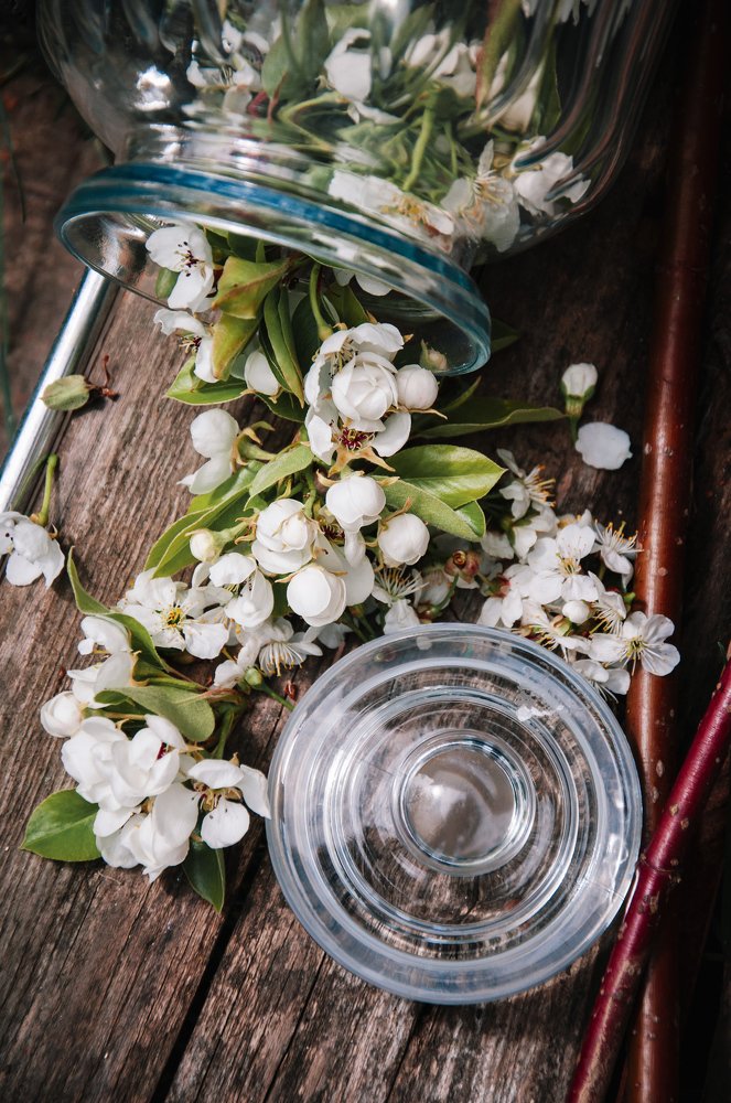 Photograph by Анастасия