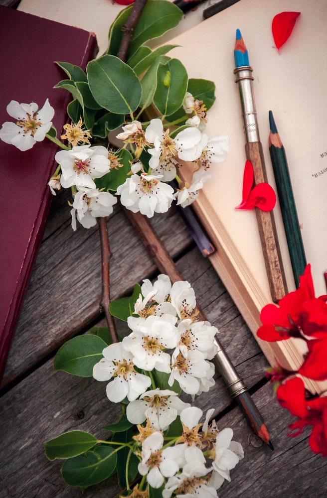 Photograph by Анастасия