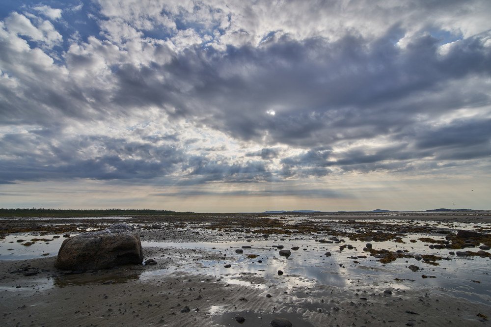 Отлив на Белом море