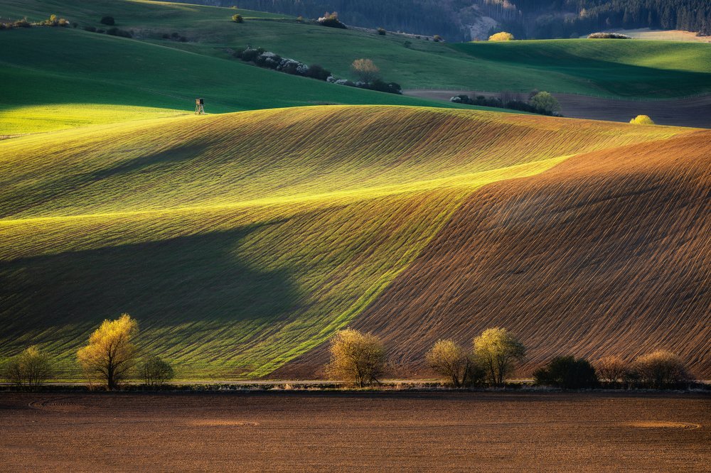 Photograph by Martin Šúrik