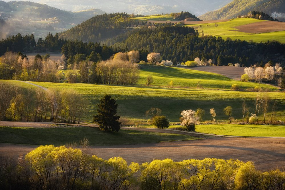 Photograph by Martin Šúrik