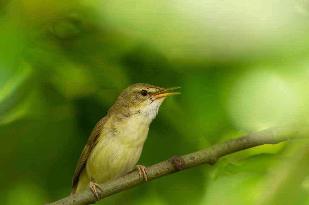 Photograph by Александр Молотков