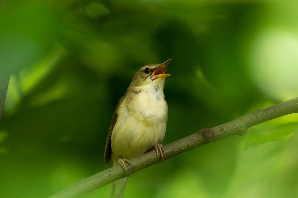 Photograph by Александр Молотков