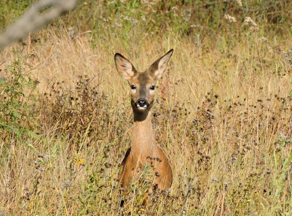 Photograph by Александр Захаров