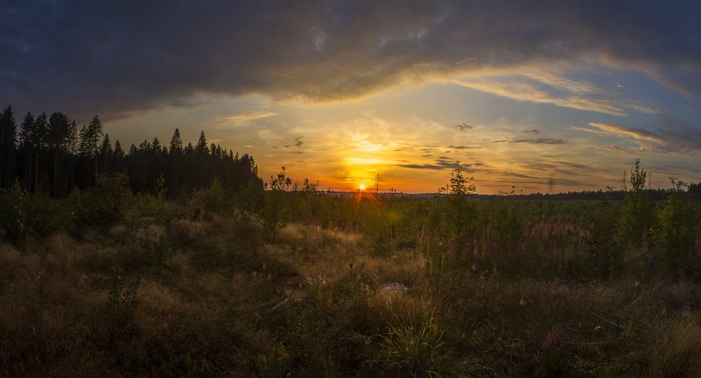 Photograph by Вячеслав Булатов