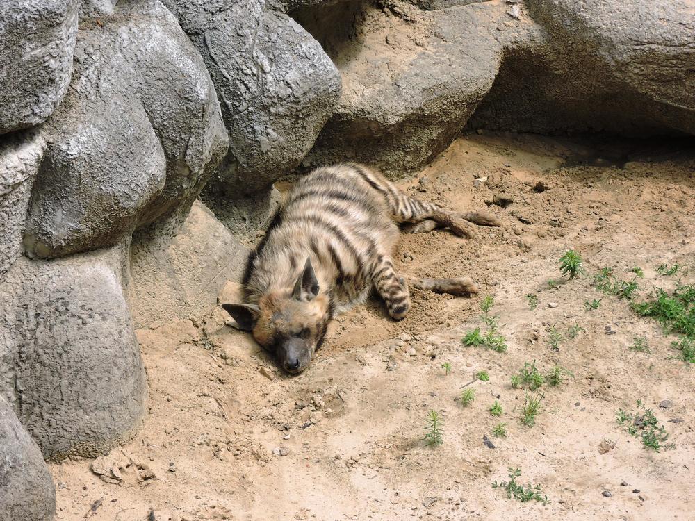 Photograph by Александр Захаров