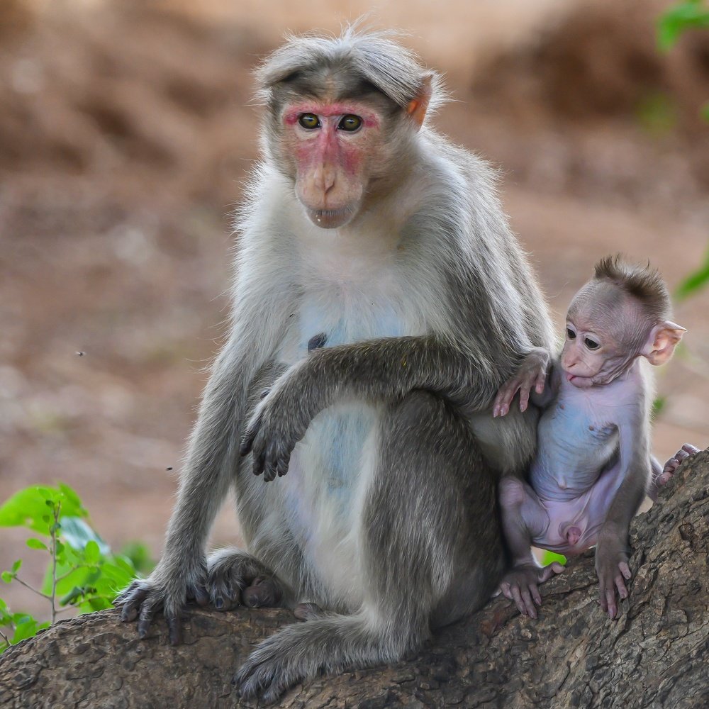 Photograph by James David Raj