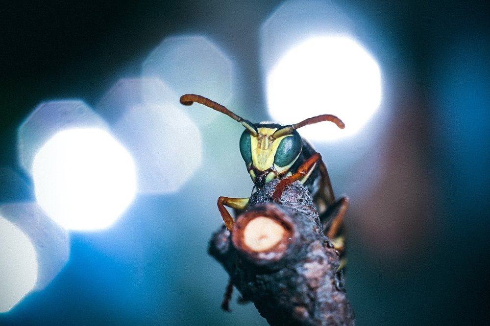 Photograph by Юлия Шматова