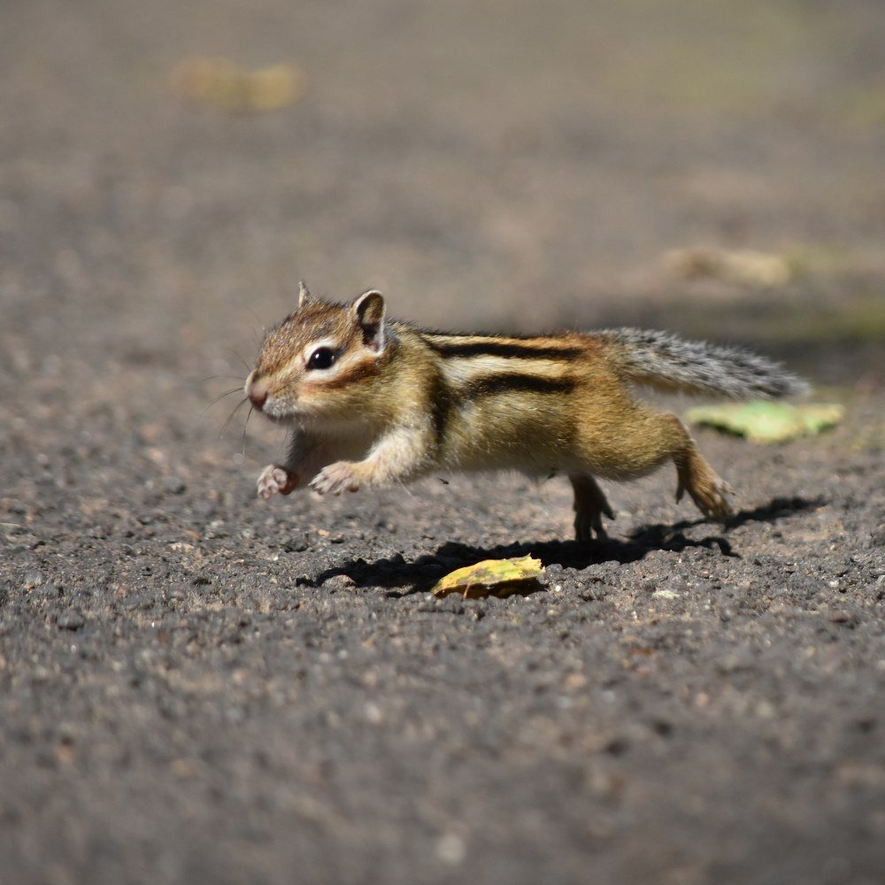 Photograph by @bersenika