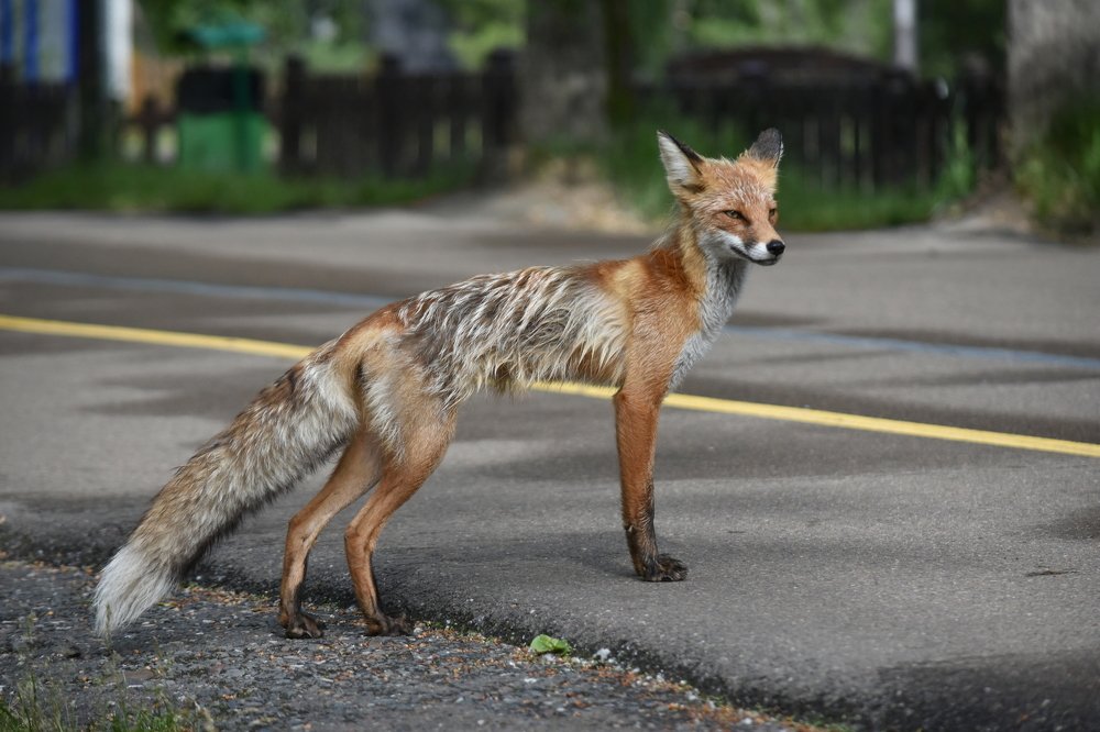 Photograph by @bersenika