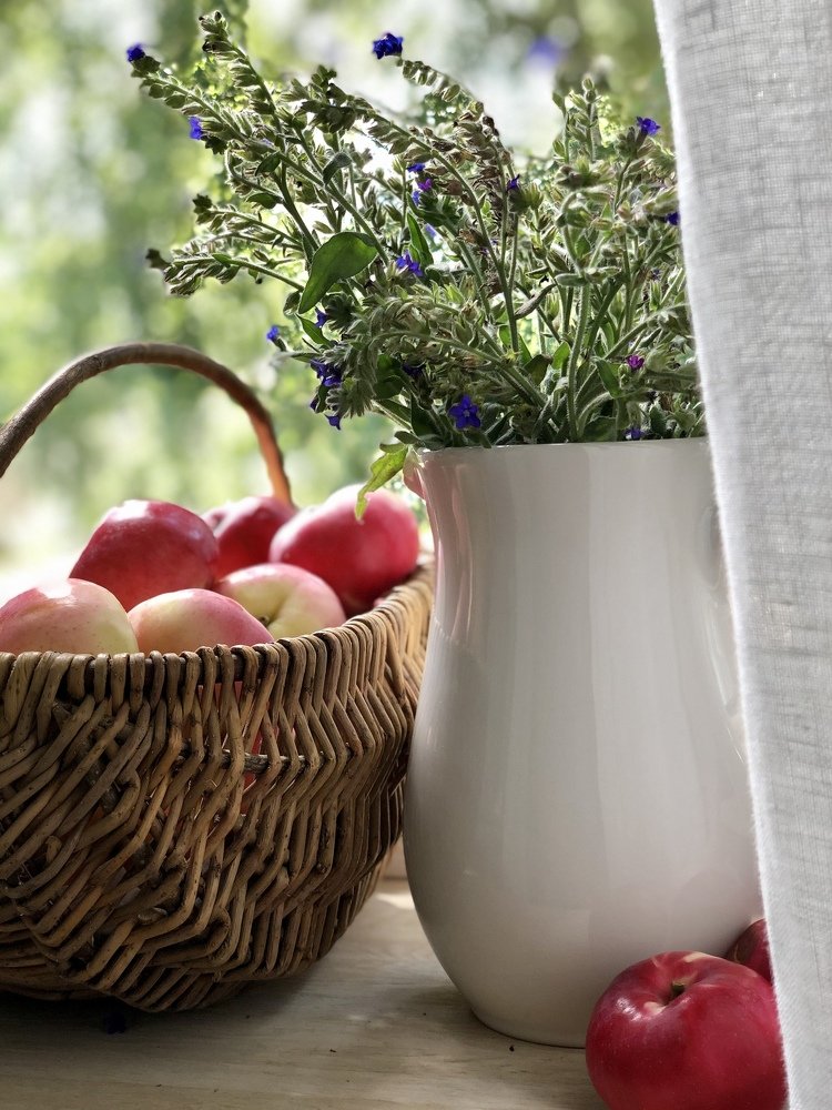 Фотография автора Наталья Васько -Черданцева