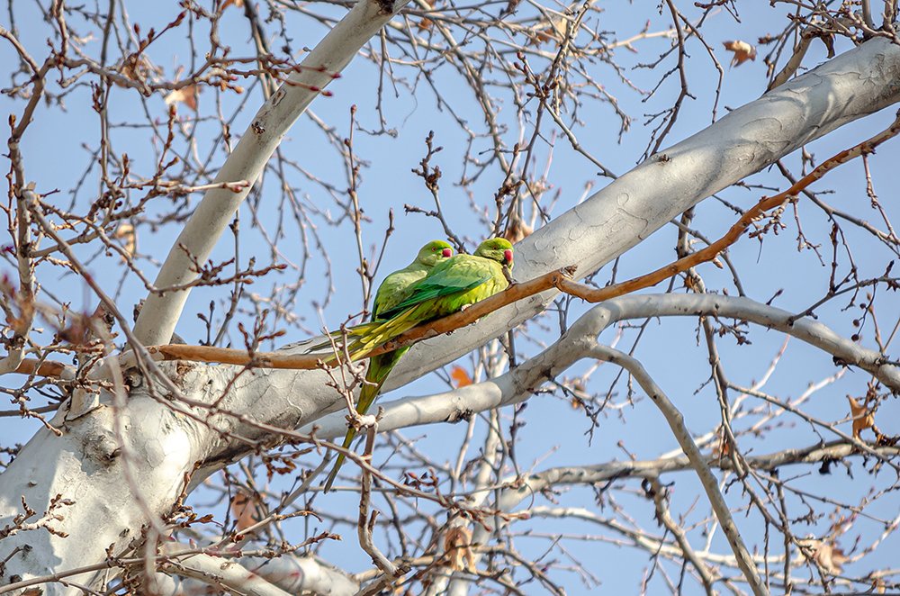 Photograph by Sahar Jafari