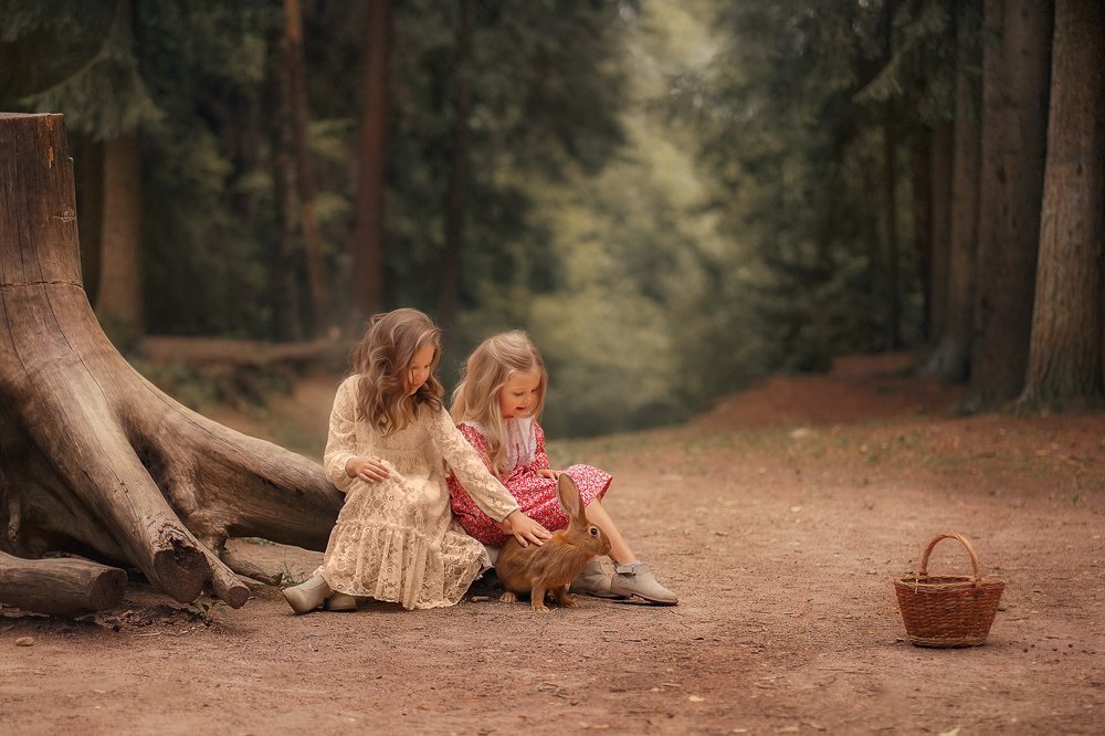 Фотография автора Елена Петрова