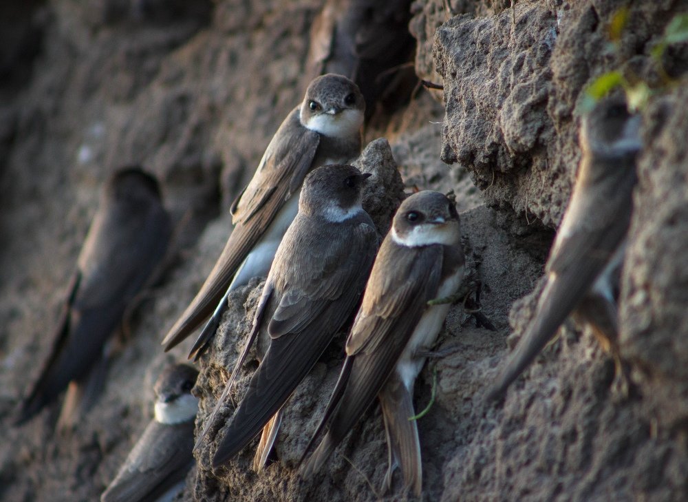 Фотография автора Евгений Подгорнов