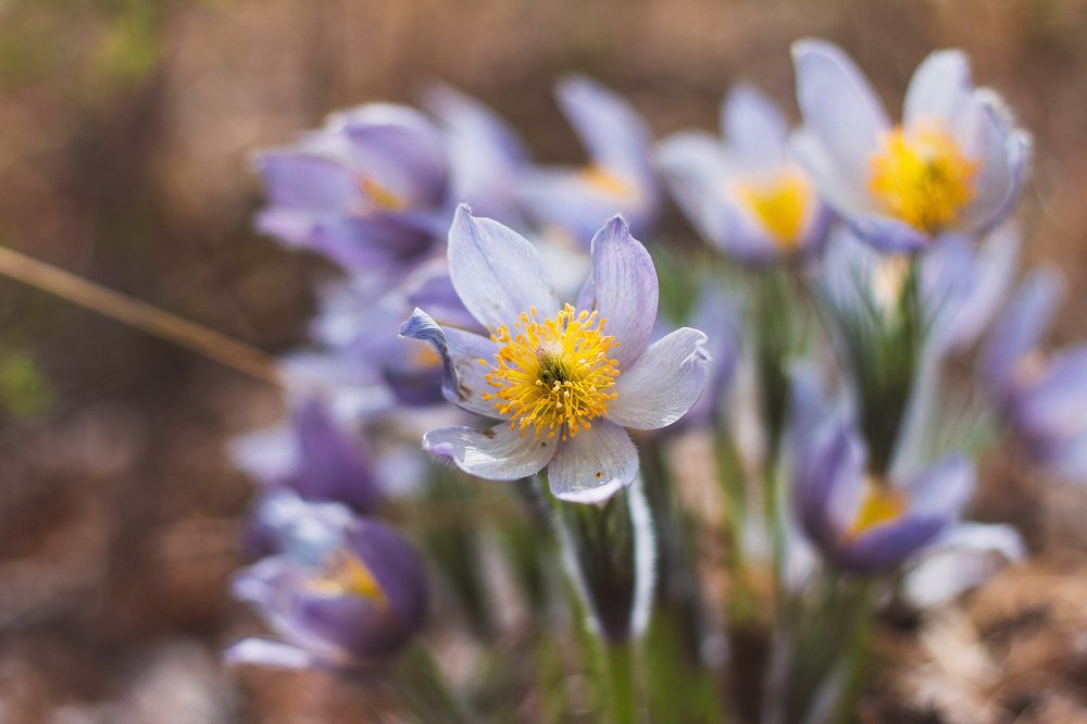 Photograph by Евгения Сосновская