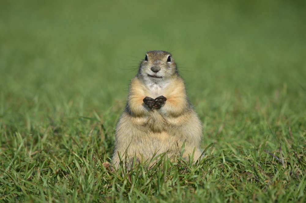 Photograph by @bersenika