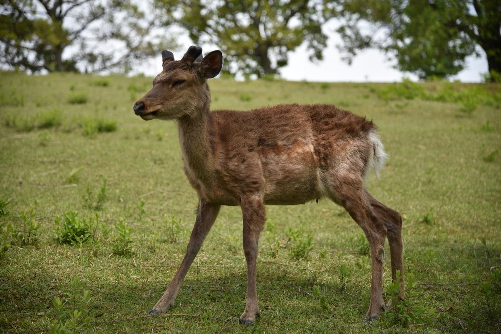 Photograph by mypure heart