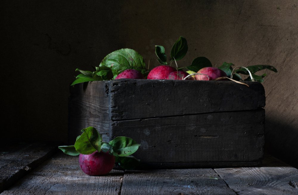 Photograph by Елена Мустафина