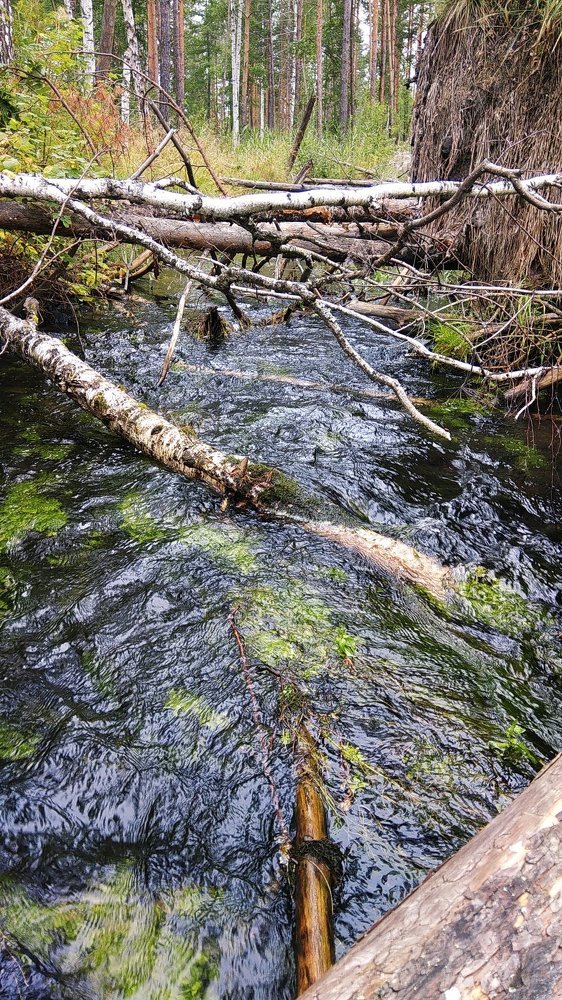 Жизнь течет как река, лови момент.