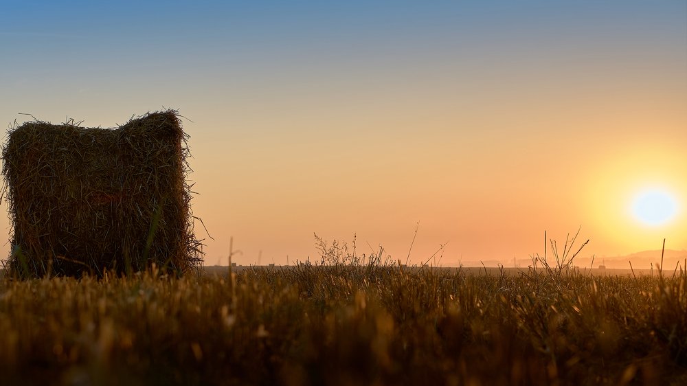 Photograph by Евгений Имамутдинов