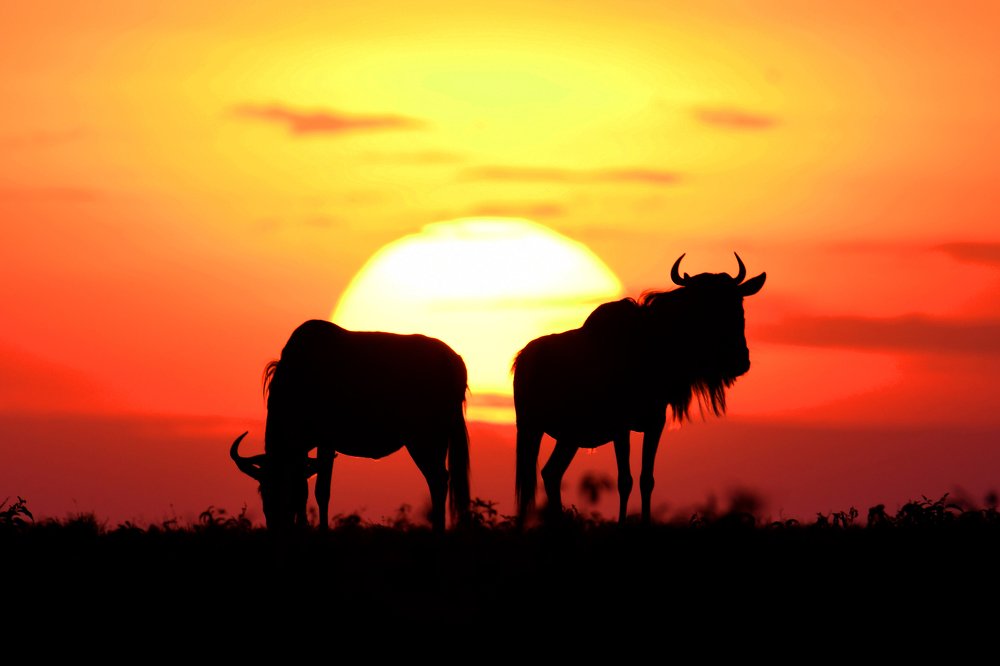 Photograph by Yuwaraj Gurjar