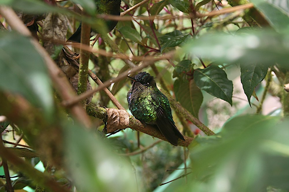 Photograph by José Valverde