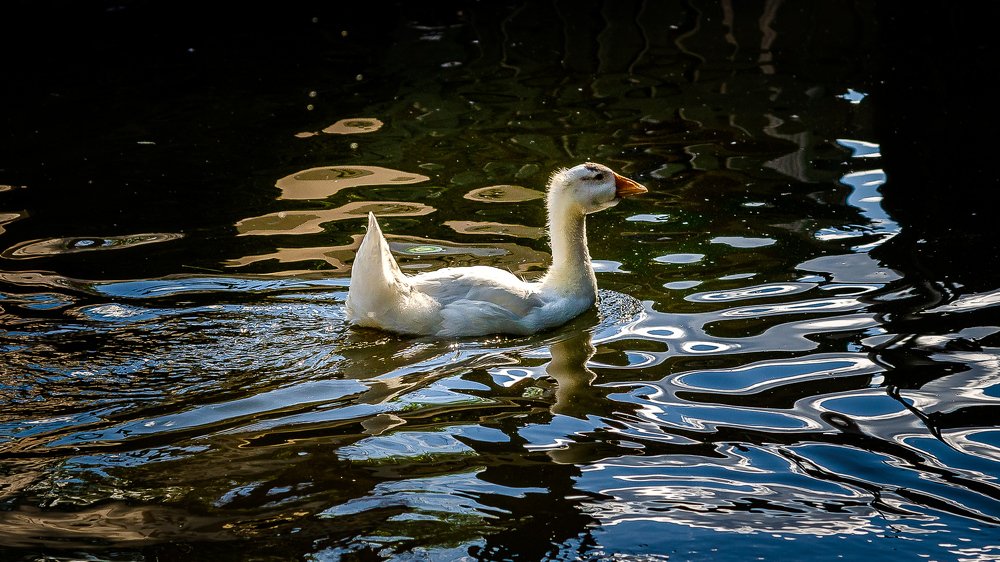 Фотография автора Владимир Брызгунов