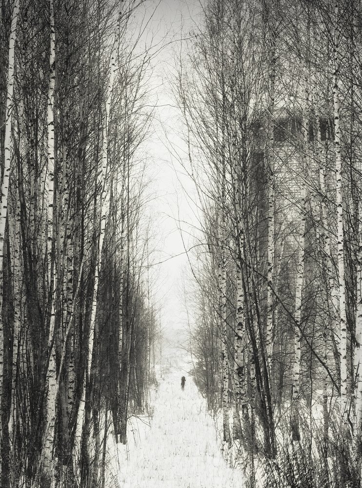 Photograph by Виталий Эйнула