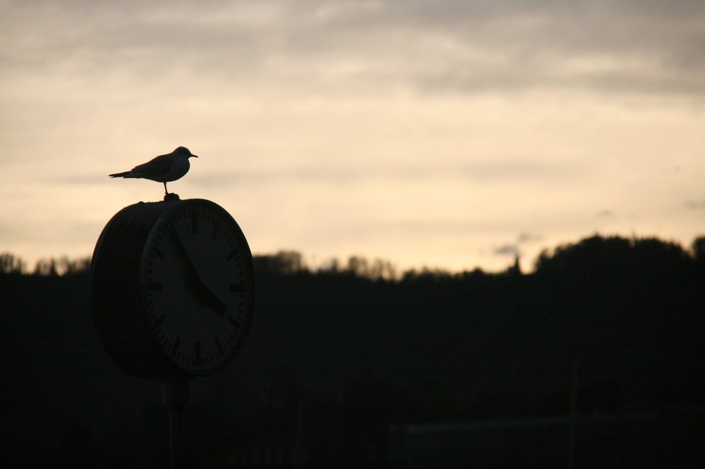 Photograph by José Valverde