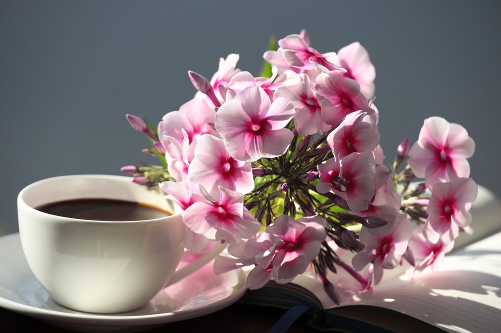 Photograph by Olga Oginskaya